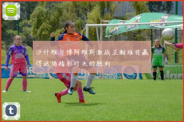 沙什维与博阿维斯激战正酣谁将赢得这场精彩对决的胜利