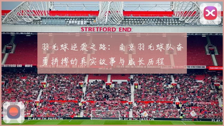 羽毛球逆袭之路：南京羽毛球队奋勇拼搏的真实故事与成长历程
