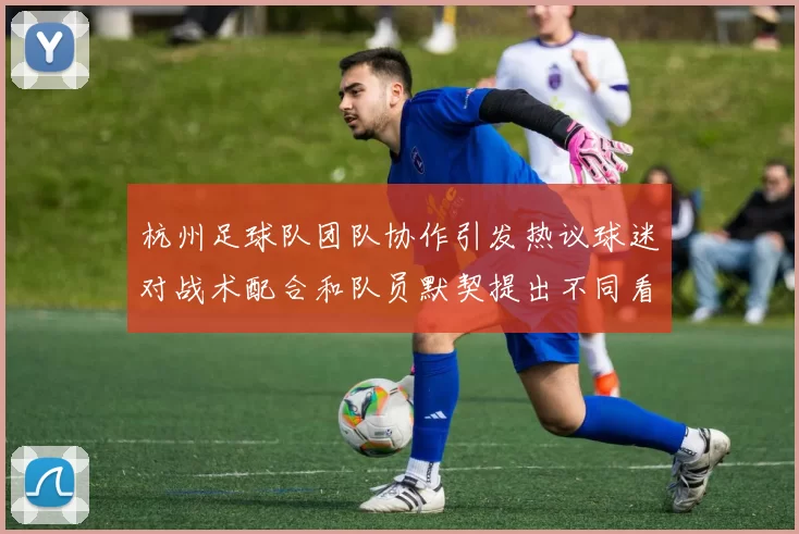 杭州足球队团队协作引发热议球迷对战术配合和队员默契提出不同看法