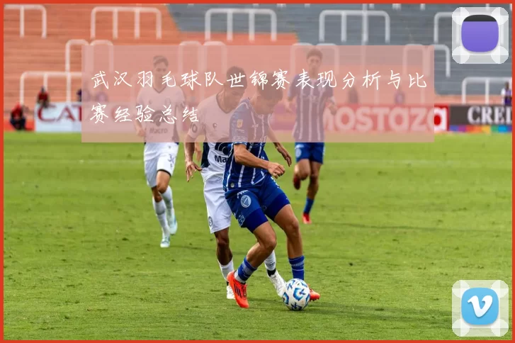 武汉羽毛球队世锦赛表现分析与比赛经验总结