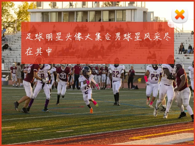 足球明星头像大集合男球星风采尽在其中
