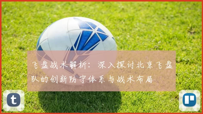 飞盘战术解析：深入探讨北京飞盘队的创新防守体系与战术布局