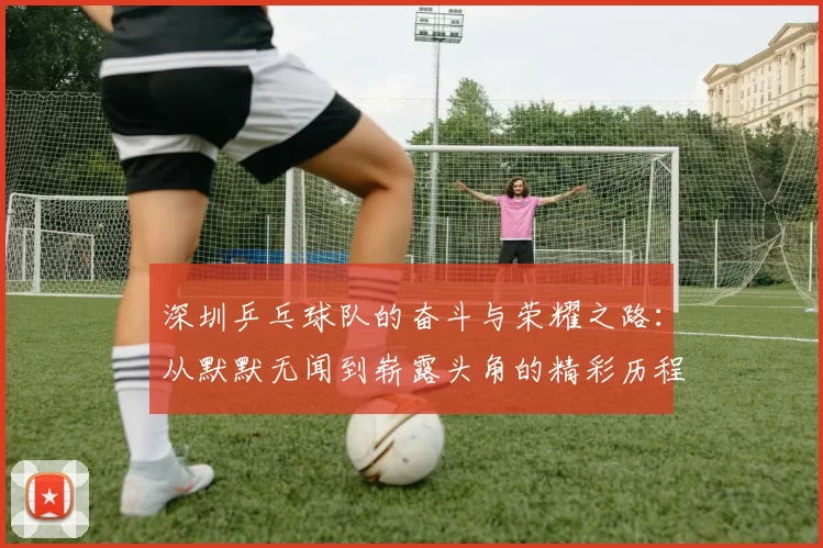 深圳乒乓球队的奋斗与荣耀之路：从默默无闻到崭露头角的精彩历程