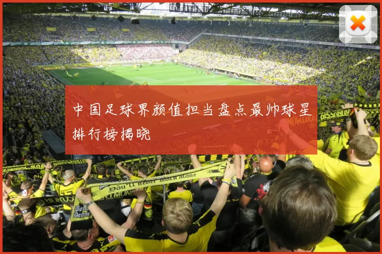 中国足球界颜值担当盘点最帅球星排行榜揭晓