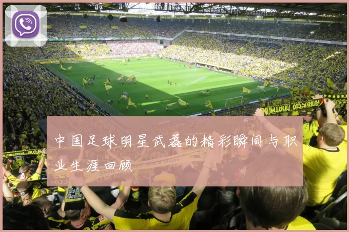 中国足球明星武磊的精彩瞬间与职业生涯回顾