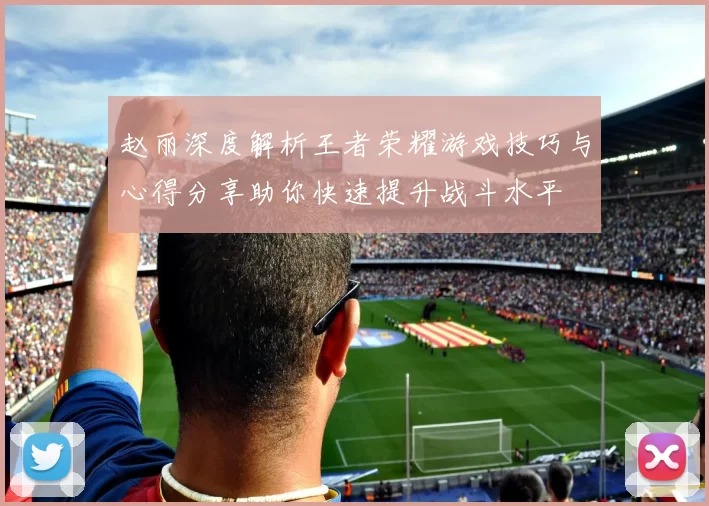 赵丽深度解析王者荣耀游戏技巧与心得分享助你快速提升战斗水平