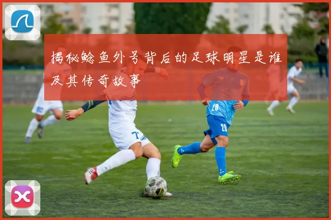 揭秘鲶鱼外号背后的足球明星是谁及其传奇故事