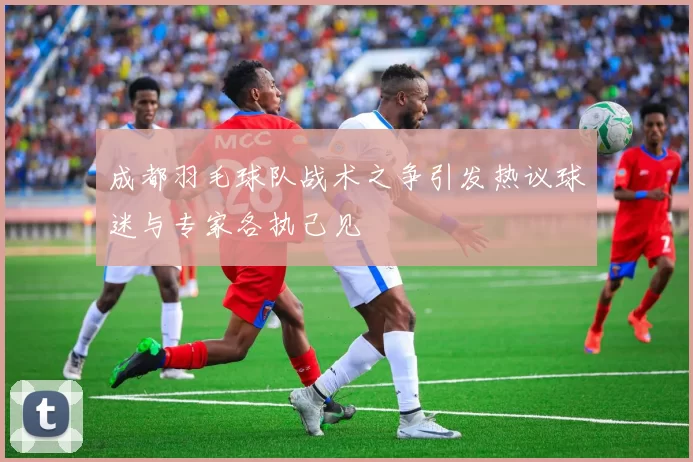 成都羽毛球队战术之争引发热议球迷与专家各执己见