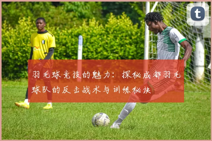 羽毛球竞技的魅力：探秘成都羽毛球队的反击战术与训练秘诀
