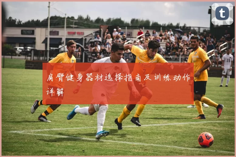 肩臂健身器材选择指南及训练动作详解