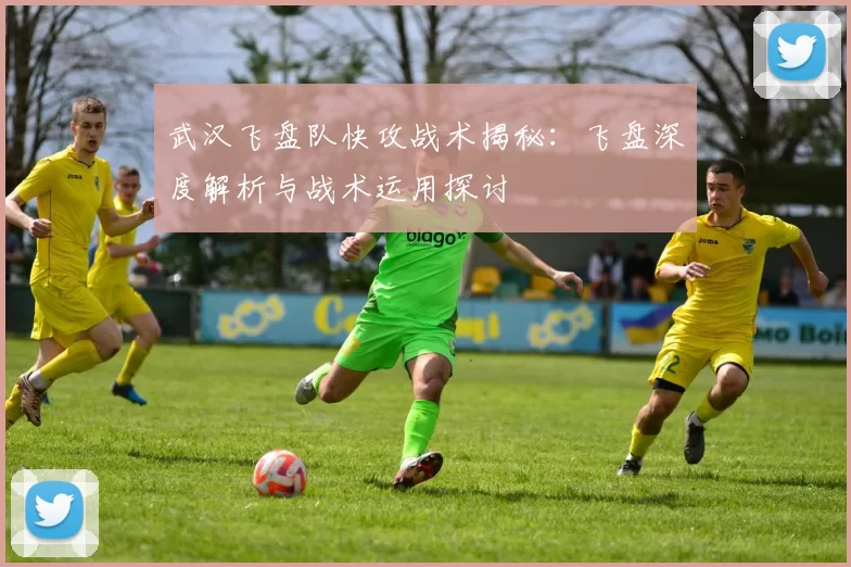 武汉飞盘队快攻战术揭秘：飞盘深度解析与战术运用探讨