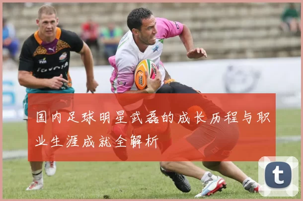 国内足球明星武磊的成长历程与职业生涯成就全解析