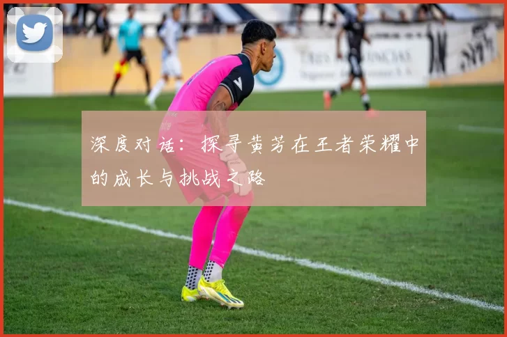 深度对话：探寻黄芳在王者荣耀中的成长与挑战之路
