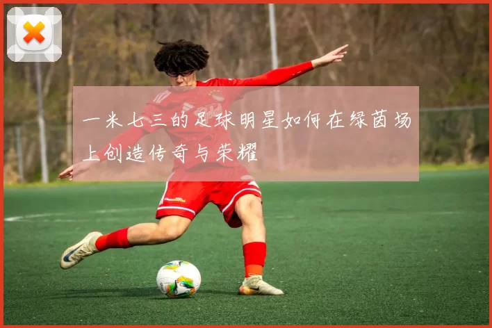 一米七三的足球明星如何在绿茵场上创造传奇与荣耀