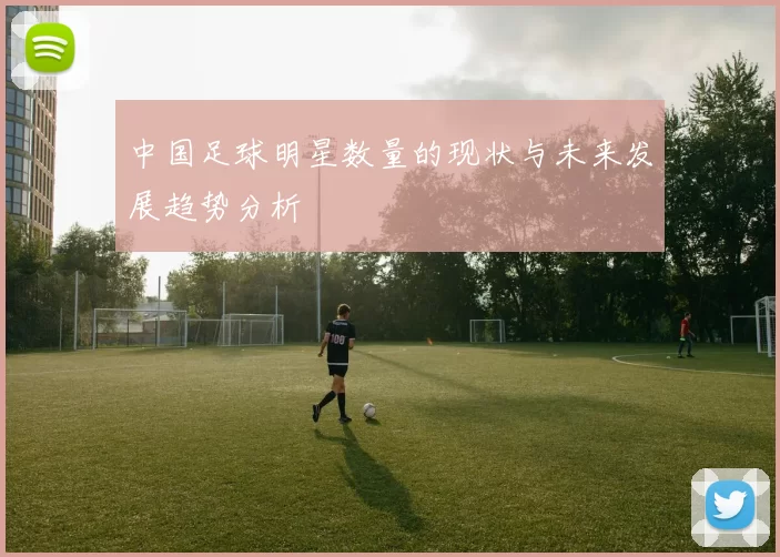中国足球明星数量的现状与未来发展趋势分析