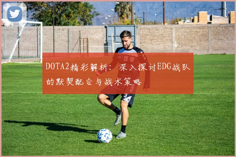 DOTA2精彩解析：深入探讨EDG战队的默契配合与战术策略