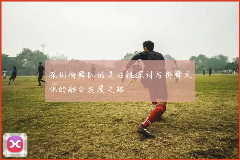 深圳街舞队的灵活性探讨与街舞文化的融合发展之路