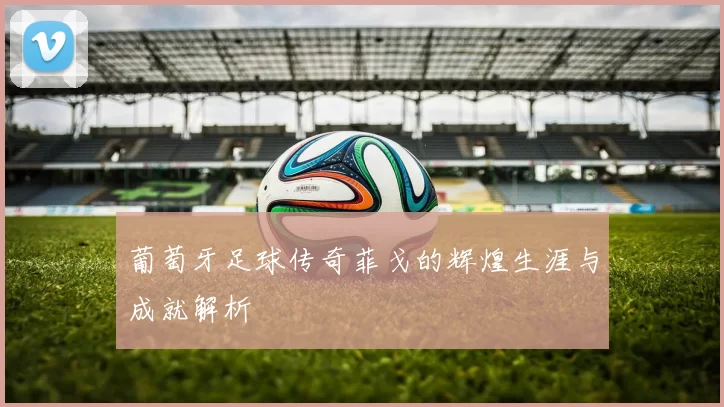 葡萄牙足球传奇菲戈的辉煌生涯与成就解析