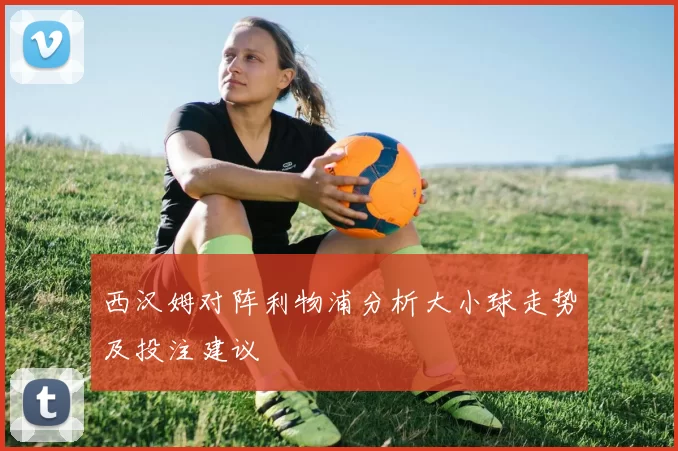 西汉姆对阵利物浦分析大小球走势及投注建议