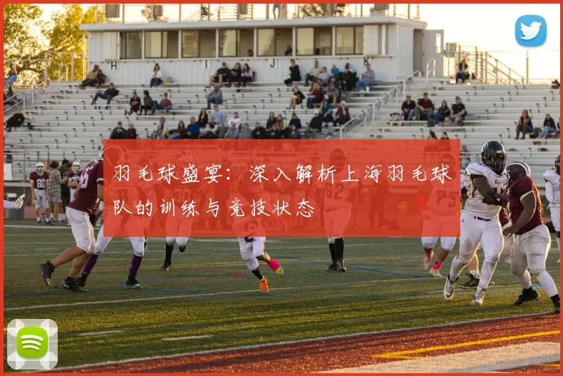 羽毛球盛宴：深入解析上海羽毛球队的训练与竞技状态