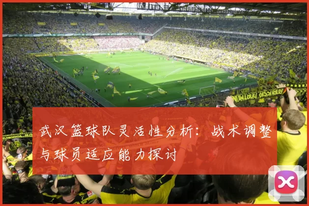 武汉篮球队灵活性分析：战术调整与球员适应能力探讨