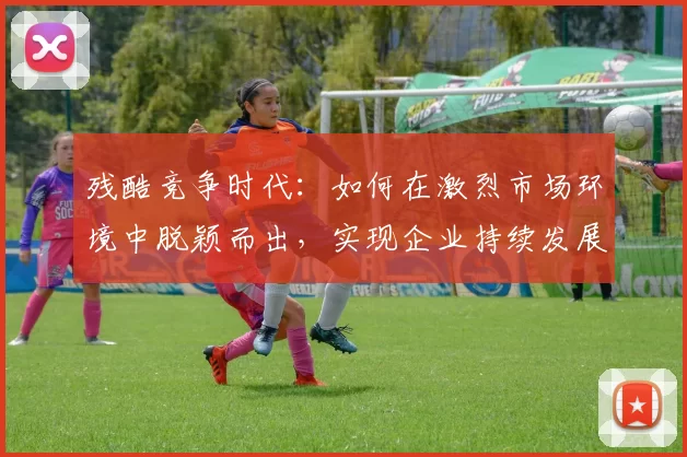 残酷竞争时代：如何在激烈市场环境中脱颖而出，实现企业持续发展与创新突破