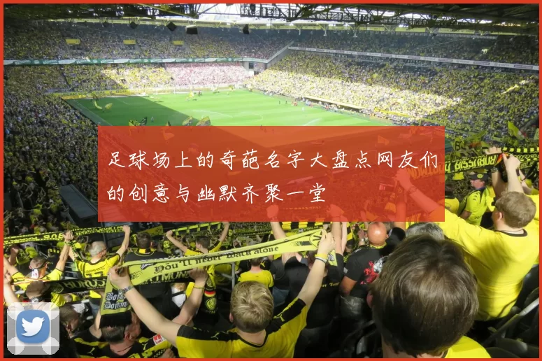 足球场上的奇葩名字大盘点网友们的创意与幽默齐聚一堂
