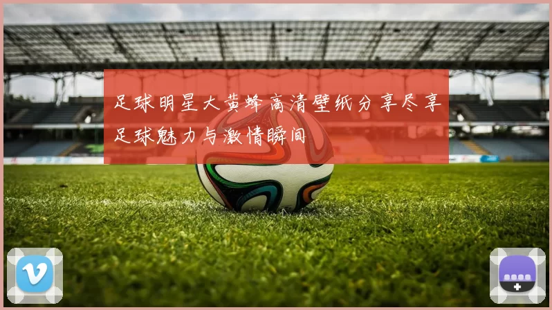 足球明星大黄蜂高清壁纸分享尽享足球魅力与激情瞬间