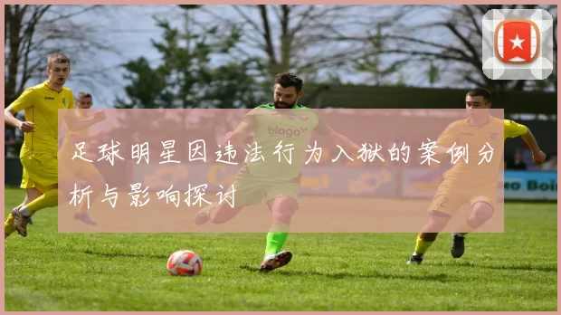 足球明星因违法行为入狱的案例分析与影响探讨